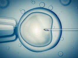 egg donor qualifications