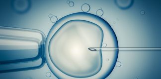 egg donor qualifications