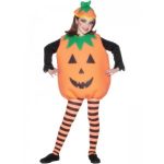 A Pumpkin Costume
