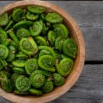 fiddleheads fern