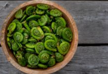 fiddleheads fern