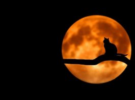 halloween superstitions