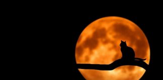 halloween superstitions