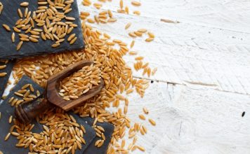 benefits of kamut