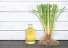 benefits of vetiver roots