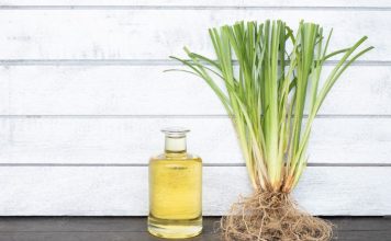 benefits of vetiver roots