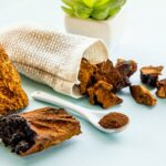 chaga mushroom benefits