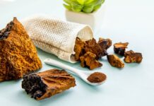 chaga mushroom benefits