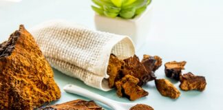 chaga mushroom benefits