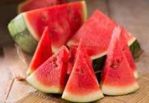 watermelon diet