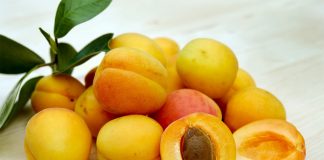 mirabelle plum benefits