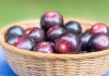 muscadine grapes