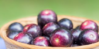 muscadine grapes