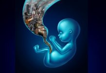 air pollution and child development