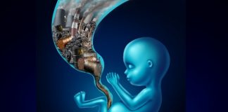 air pollution and child development