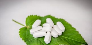 herbal antibiotics