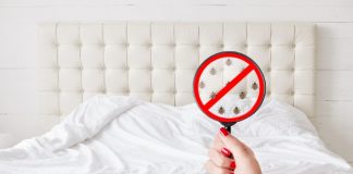 how to get rid of bed bugs