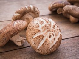 shiitake mushroom benefits