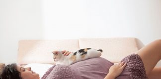 Pregnant Woman With Cat