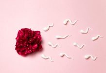 home artificial insemination