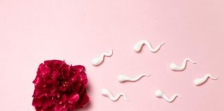 home artificial insemination