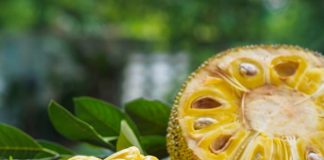 jackfruit