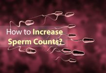 increase the sperm count