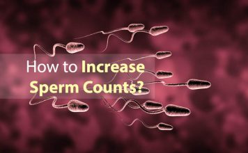 increase the sperm count
