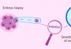 preimplantation genetic diagnosis