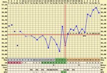 Triphasic Chart and Pregnancy