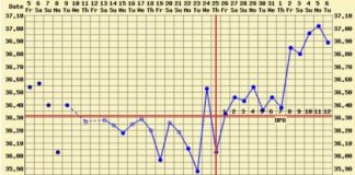 Triphasic Chart and Pregnancy