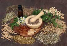 fertility herbs