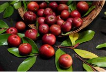 kokum