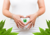 hemp and pregnancy