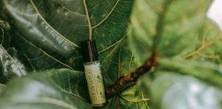 Eucalyptus