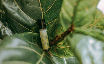 Eucalyptus