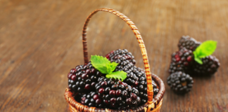 blackberry