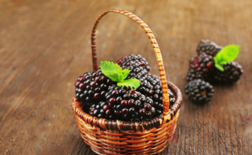 blackberry