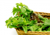 health benefits of mint leaves