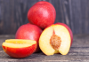 nectarines during pregnancy