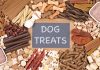 treats for puppies