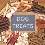 treats for puppies