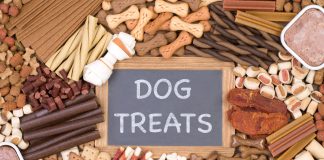 treats for puppies