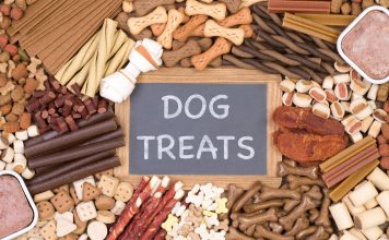 treats for puppies