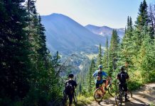 mountain bike for teenager
