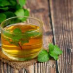 sencha tea benefits