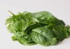 spinach allergy in babies