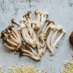 enoki mushroom health benefits