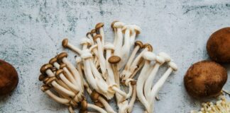 enoki mushroom health benefits