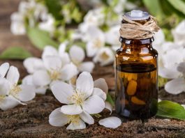 jasmine essential oil